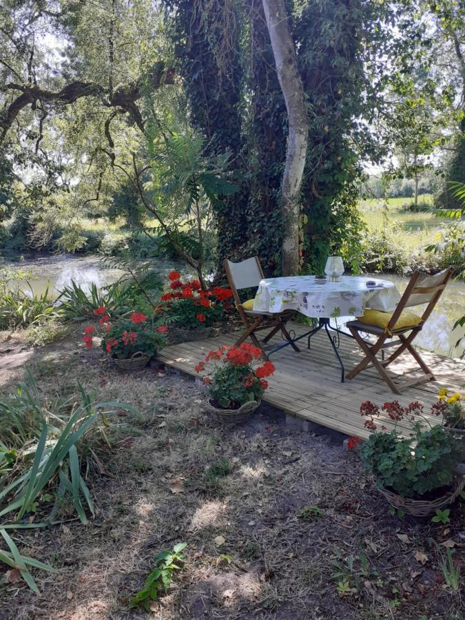 Gite " Jardin Peyrona" Visite Zoo Beauval Et Chateaux De Loire Beaulieu-les-Loches Екстер'єр фото