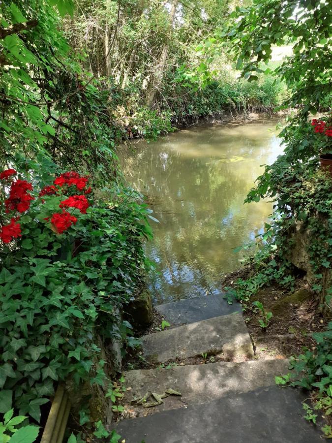 Gite " Jardin Peyrona" Visite Zoo Beauval Et Chateaux De Loire Beaulieu-les-Loches Екстер'єр фото