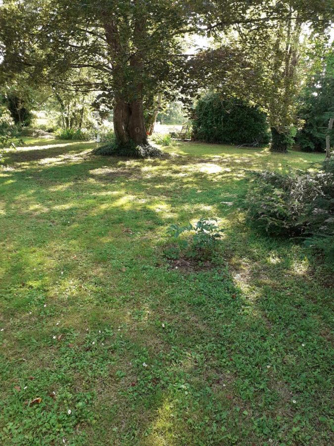 Gite " Jardin Peyrona" Visite Zoo Beauval Et Chateaux De Loire Beaulieu-les-Loches Екстер'єр фото